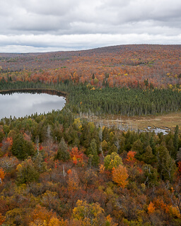 a high-up view of a lake and autumn trees
